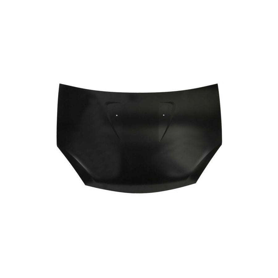 Blic 6803-00-1302280P Bonnet for Dacia Sandero I (Sd)