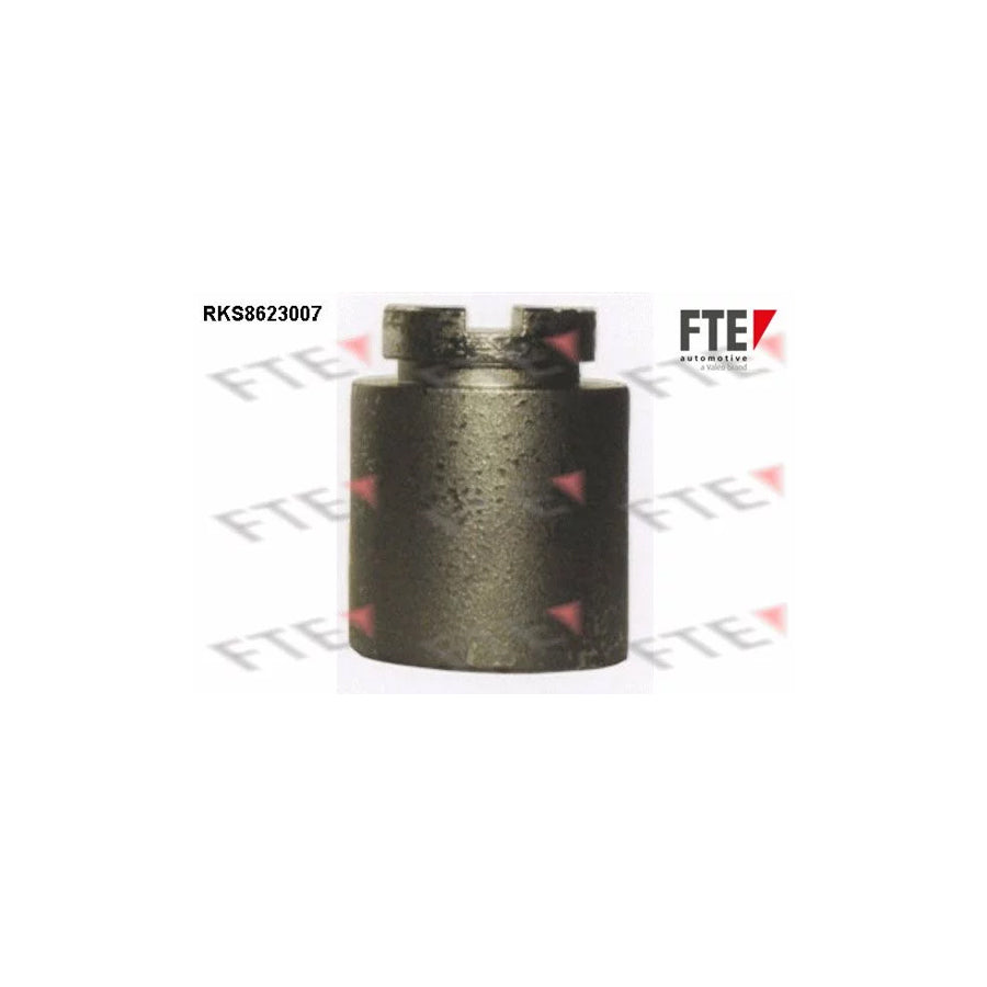FTE 9313194 Piston, Brake Caliper