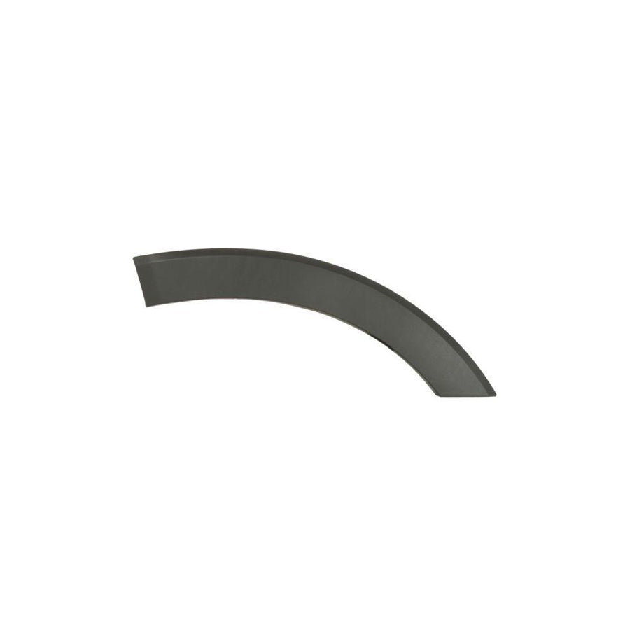 Blic 6601-02-2518424P Door Molding for Ford Transit