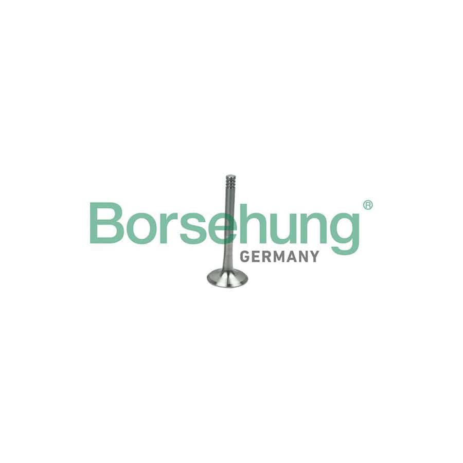 Borsehung B19014 Exhaust Valve