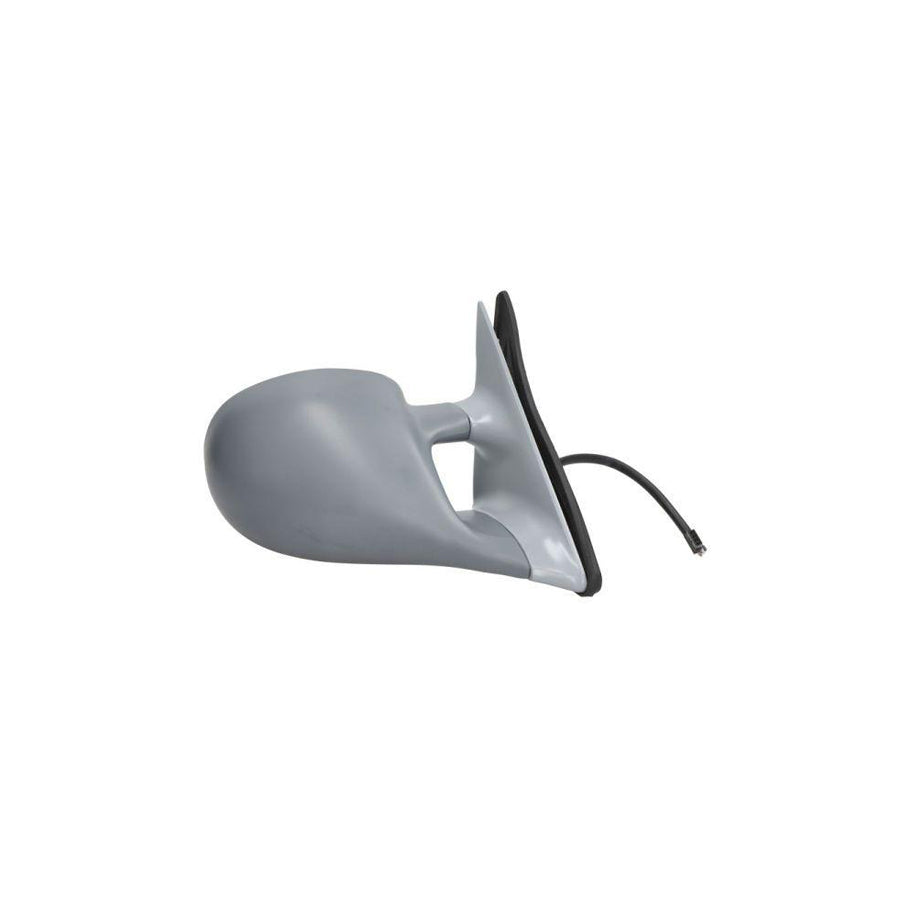 Blic 5402-05-2002764P Wing Mirror for BMW 3 Series