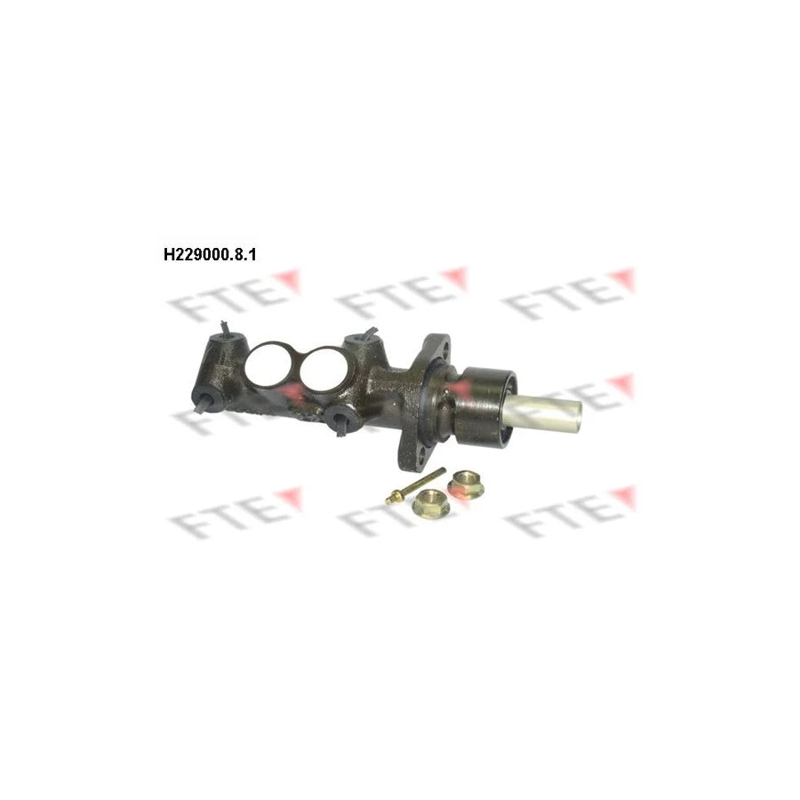 FTE H229000.8.1 Brake Master Cylinder