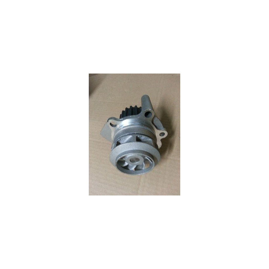 BUGIAD Bsp20436 Water Pump