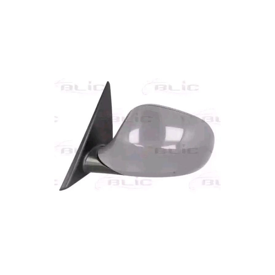 Blic 5402-05-2001049P Wing Mirror for BMW 3 Series