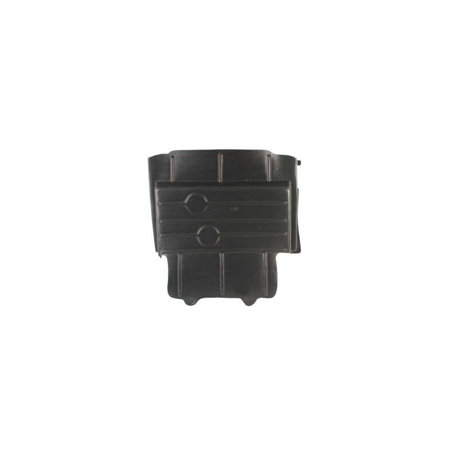 Blic 6601-02-2509860P Engine Cover for Ford Transit