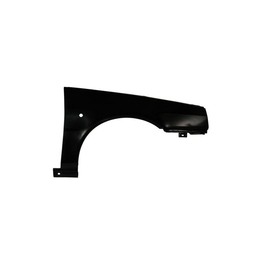 Blic 6504-04-2025312P Wing Fender for Fiat Tipo Hatchback (160)