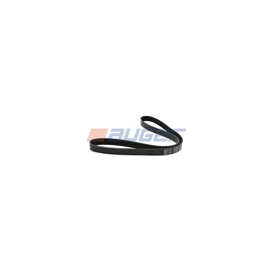 Auger 90567 V-Ribbed Belt