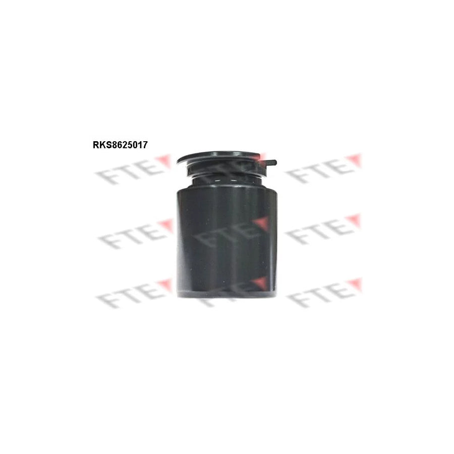 FTE 9313224 Piston, Brake Caliper