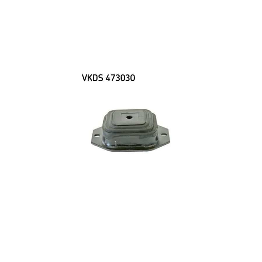 Skf Vkds 473030 Axle Bush