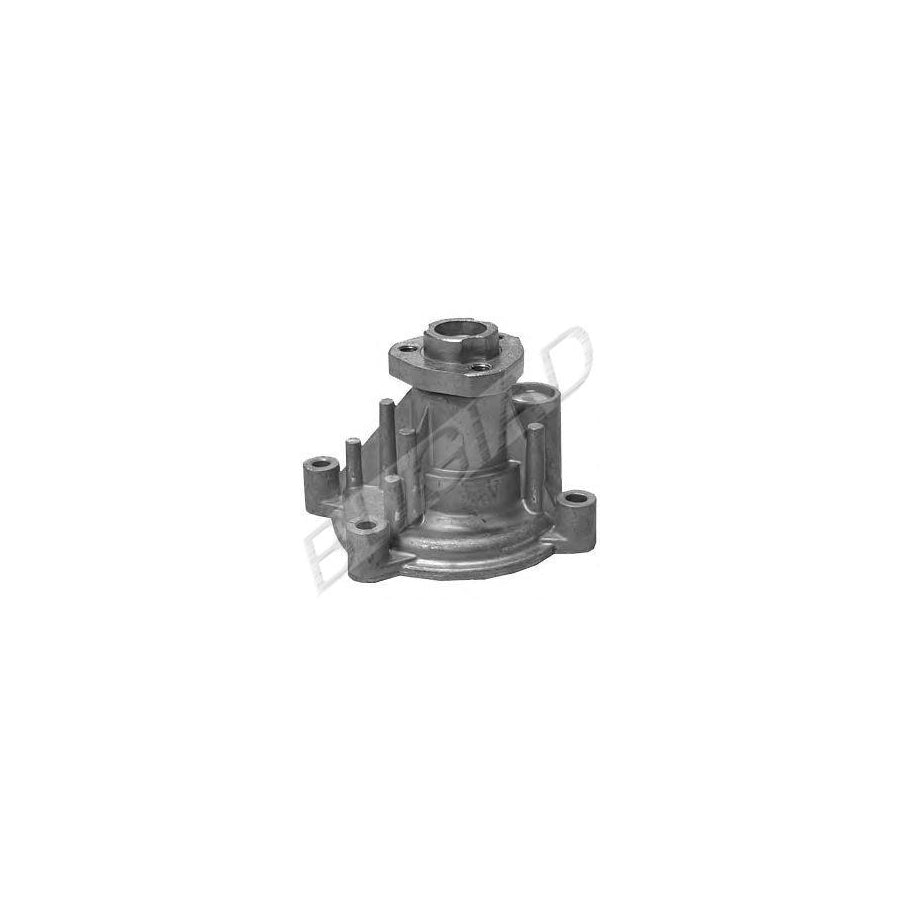 BUGIAD Bsp20435 Water Pump