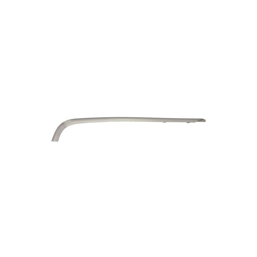 Blic 5703-05-3512975P Bumper Moulding Suitable for Mercedes-Benz C-Class