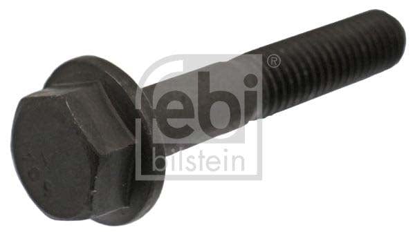 Febi Bilstein 46116 Screw | ML Performance UK Car Parts