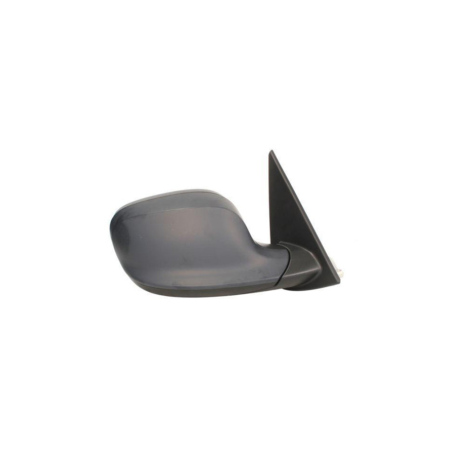 Blic 5402-05-027364P Wing Mirror for BMW X1 (E84)