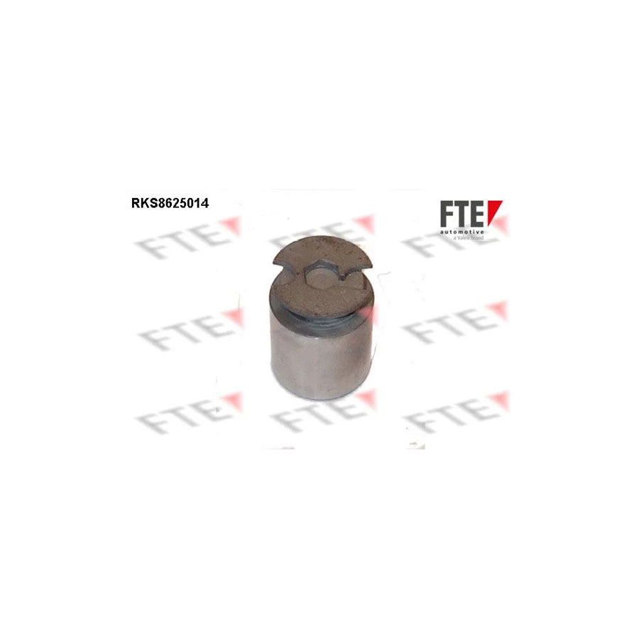 FTE 9313221 Piston, Brake Caliper