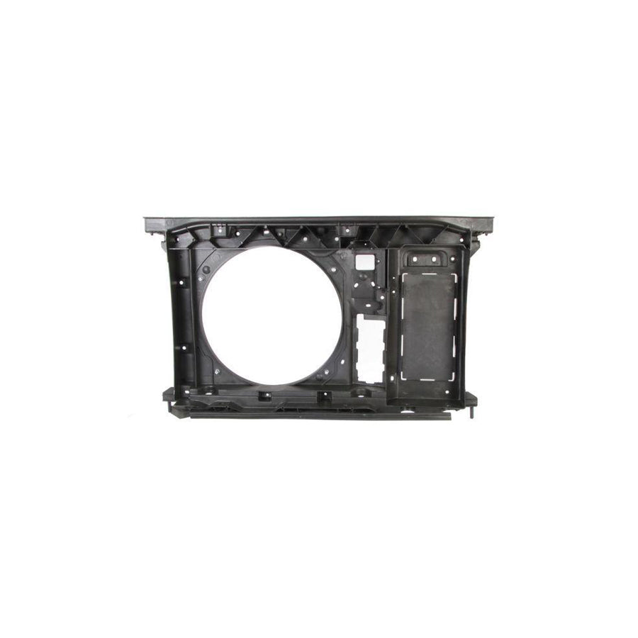 Blic 6502-08-0538200P Front Cowling for Citroen C4
