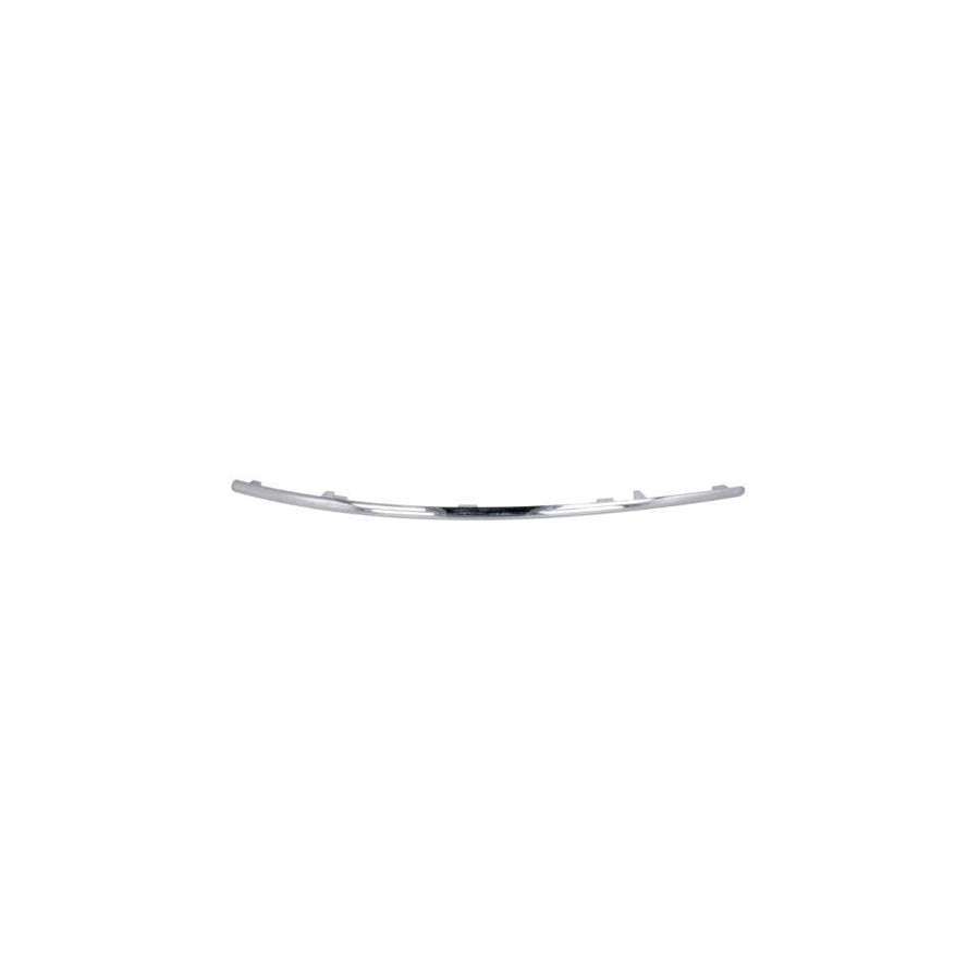 Blic 6502-07-3529928P Bumper Moulding Suitable for Mercedes-Benz E-Class