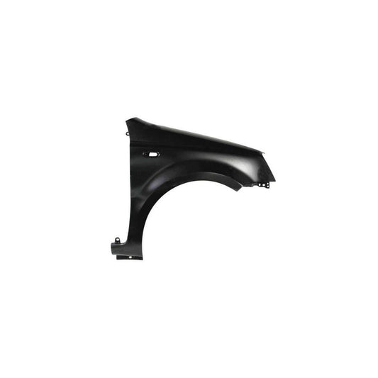 Blic 6504-04-2008312Q Wing Fender for Fiat Panda II Hatchback (169)