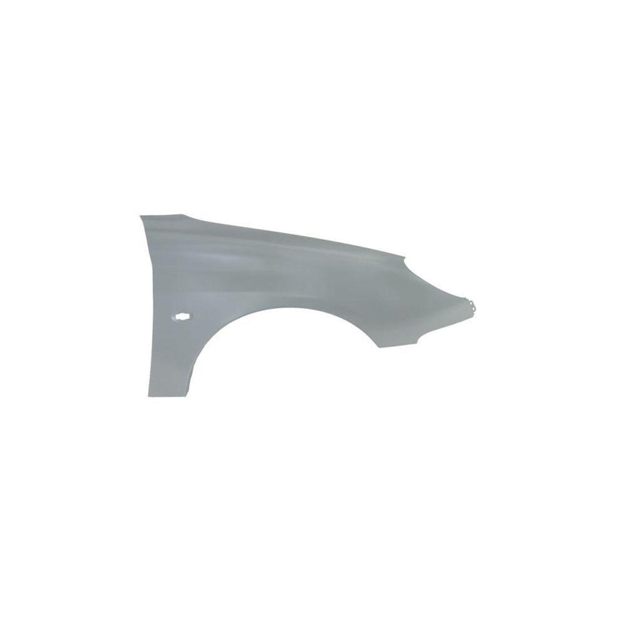 Blic 6504-04-5507312Q Wing Fender for Peugeot 206