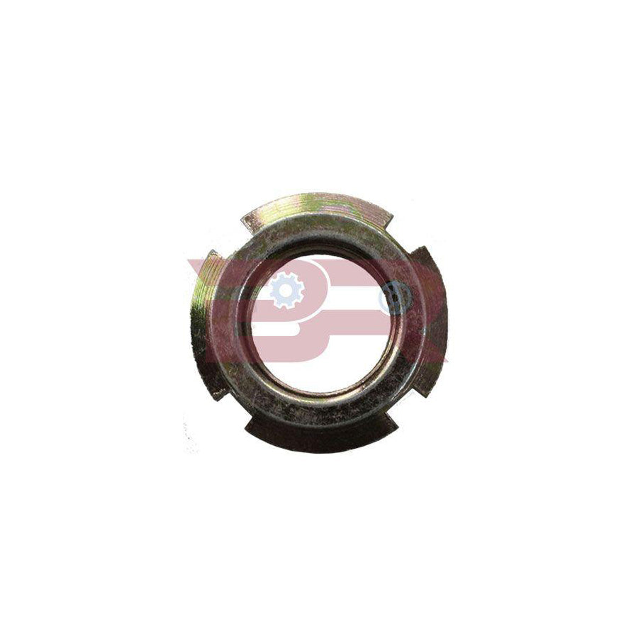 Botto Ricambi Brst2356 Nut, Supporting / Ball Joint for Iveco Daily