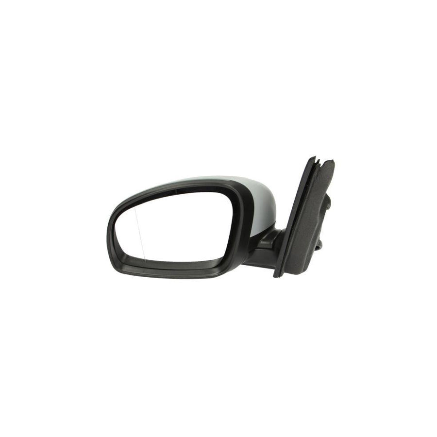 Blic 5402-43-007361P Wing Mirror for Skoda Roomster