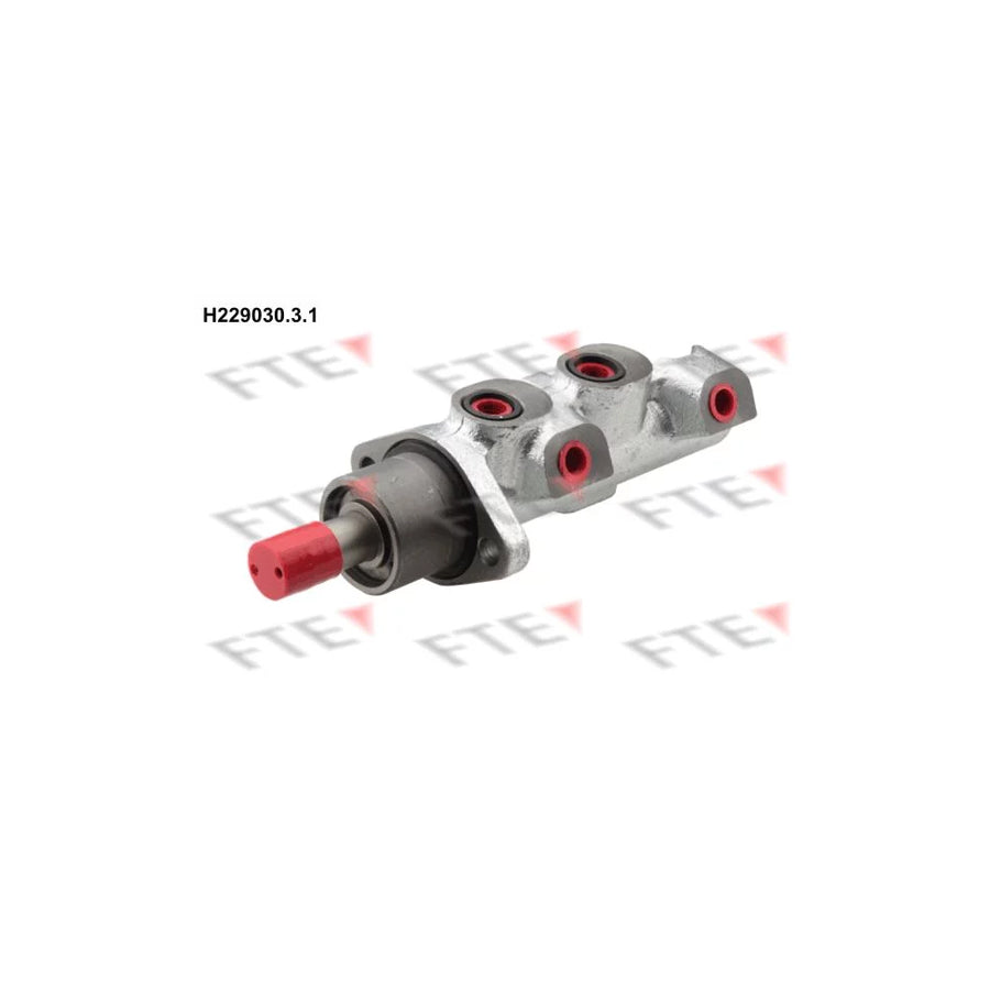 FTE H229030.3.1 Brake Master Cylinder