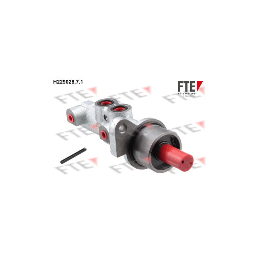 FTE H229028.7.1 Brake Master Cylinder