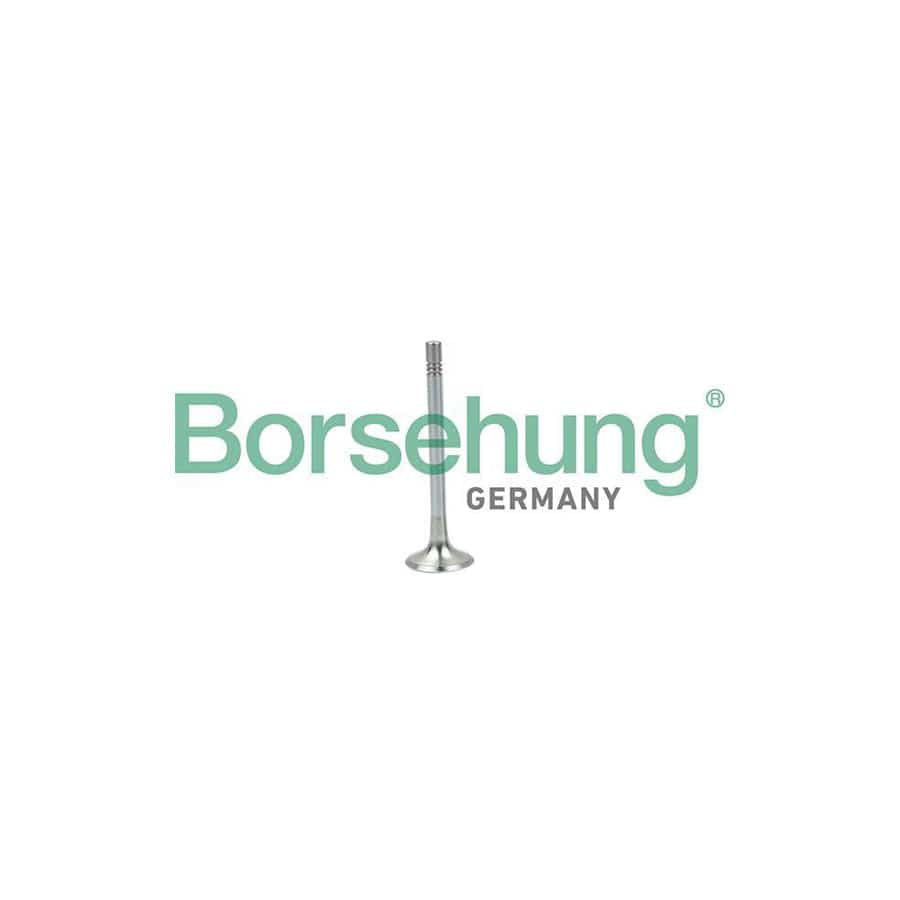 Borsehung B19004 Exhaust Valve