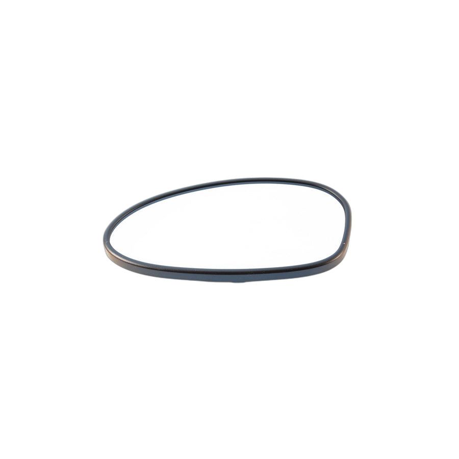 Genuine BMW 51167144309 E93 E92 E90 Mirror Glas Heated Plane Left Electrochromic (Inc. 318d, 320si & 316i)