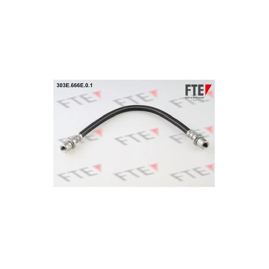 FTE 303E.666E.0.1 Brake Hose