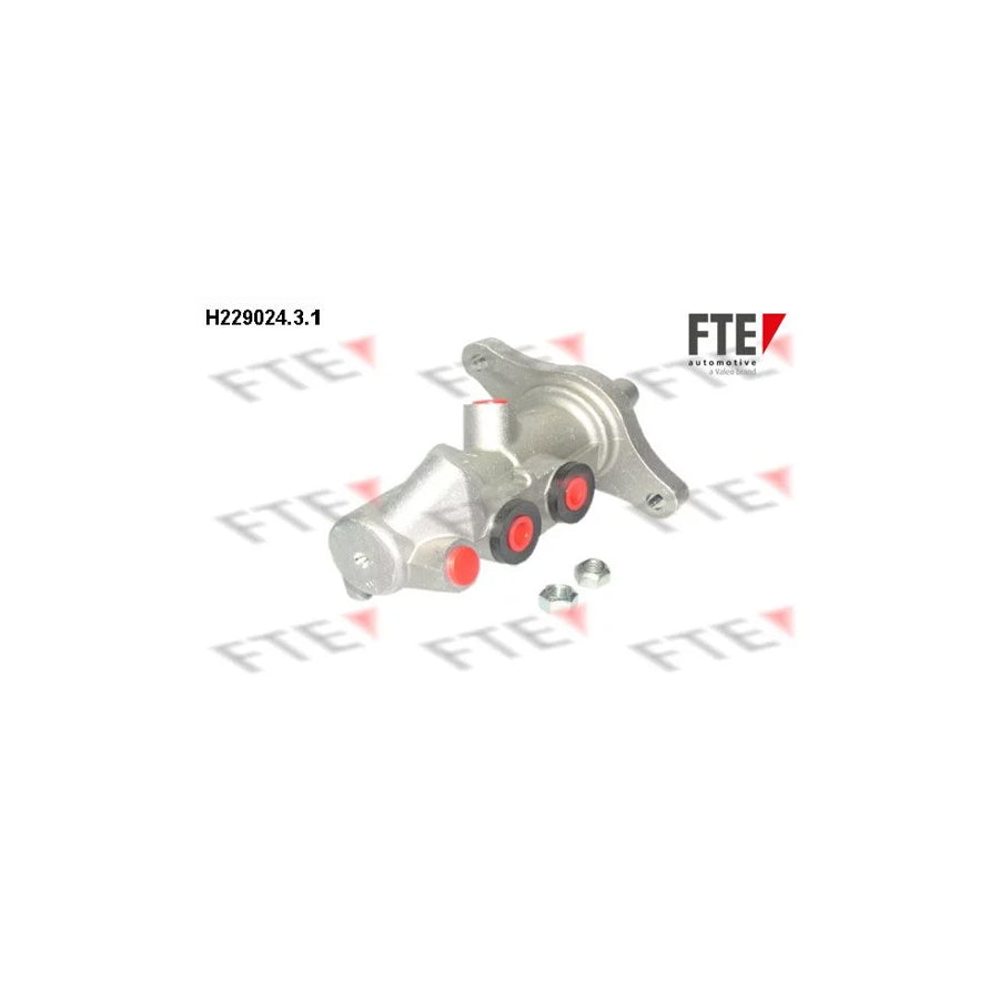 FTE H229024.3.1 Brake Master Cylinder for Audi A2 (8Z0)