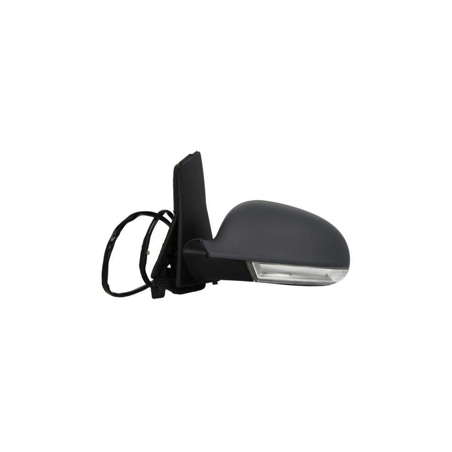 Blic 5402-04-1131119P Wing Mirror for VW Golf Plus / Crossgolf (5M1, 521)