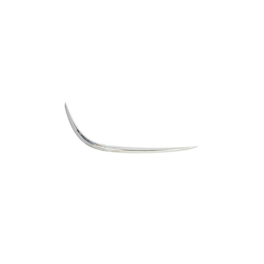 Blic 6502-07-3531915P Bumper Moulding Suitable for Mercedes-Benz E-Class