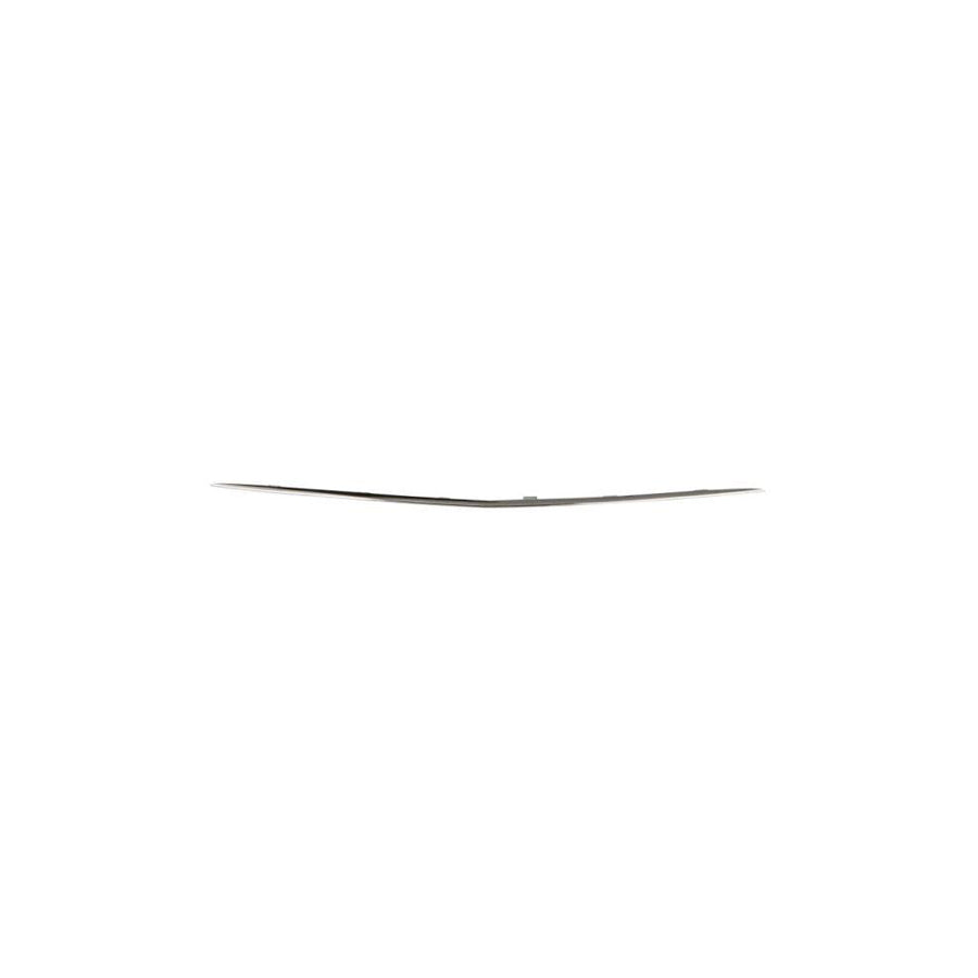 Blic 6502-07-3531913P Bumper Moulding Suitable for Mercedes-Benz E-Class