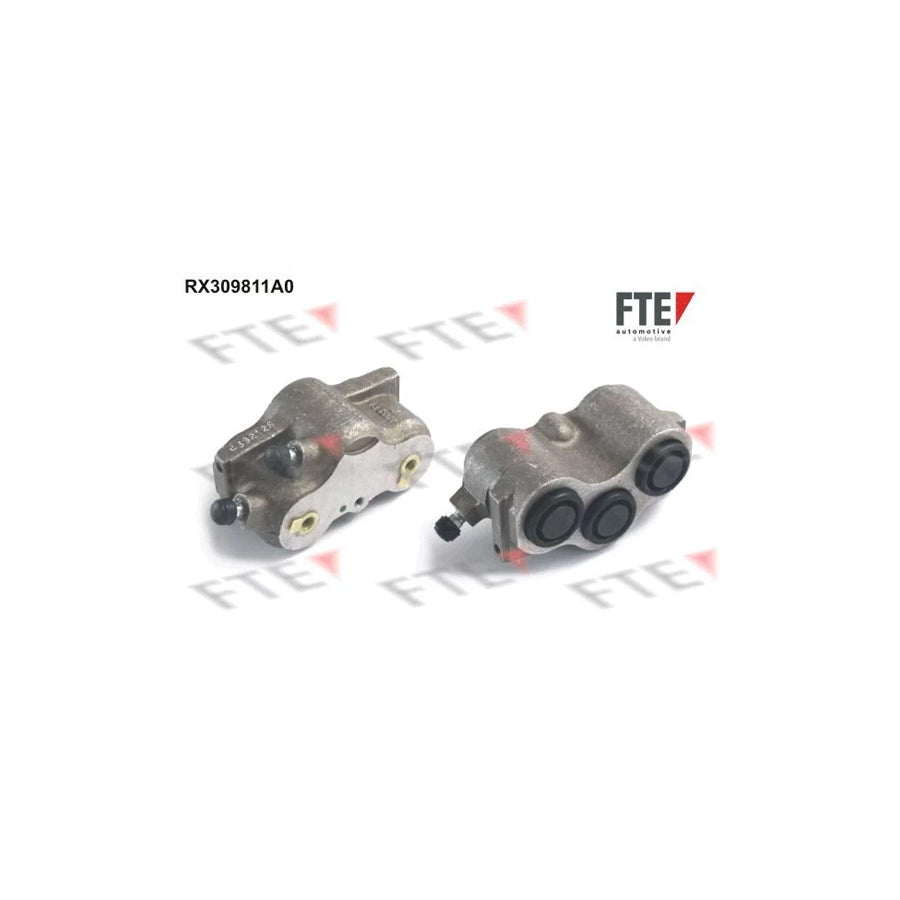 FTE Rx309811A0 Brake Caliper for Lada Niva