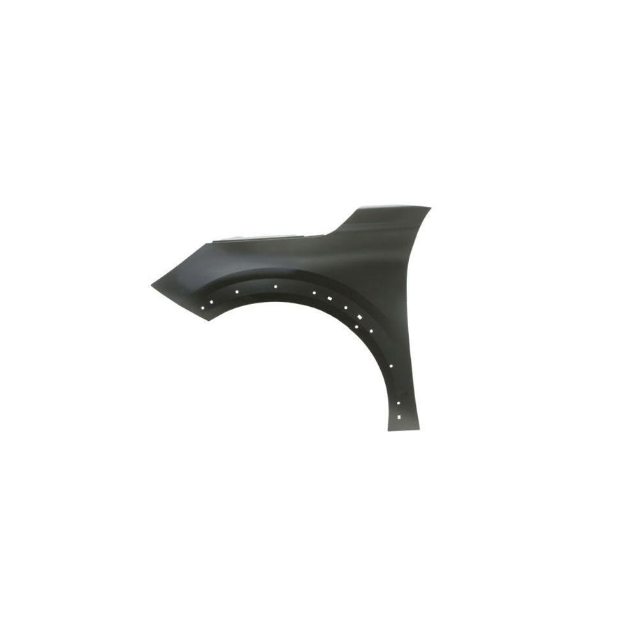 Blic 6504-04-5509313Pp Wing Fender for Peugeot 208 II Hatchback (Ub_, Up_, Uw_, Uj_)
