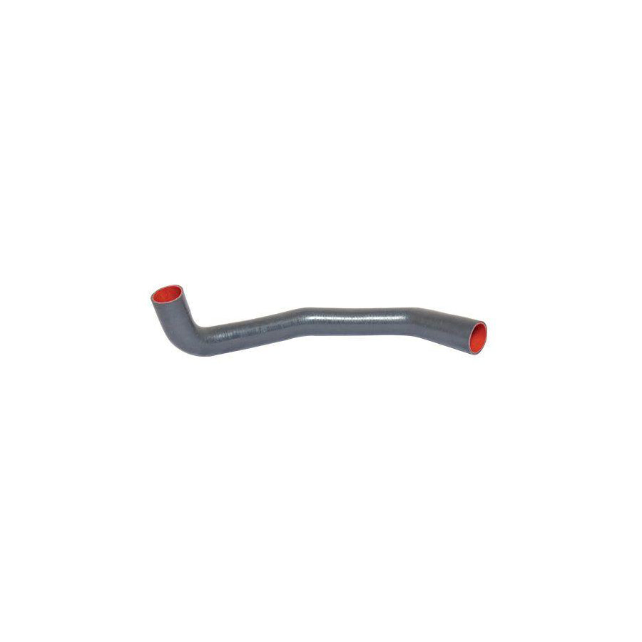 BUGIAD 88771 Charger Intake Hose