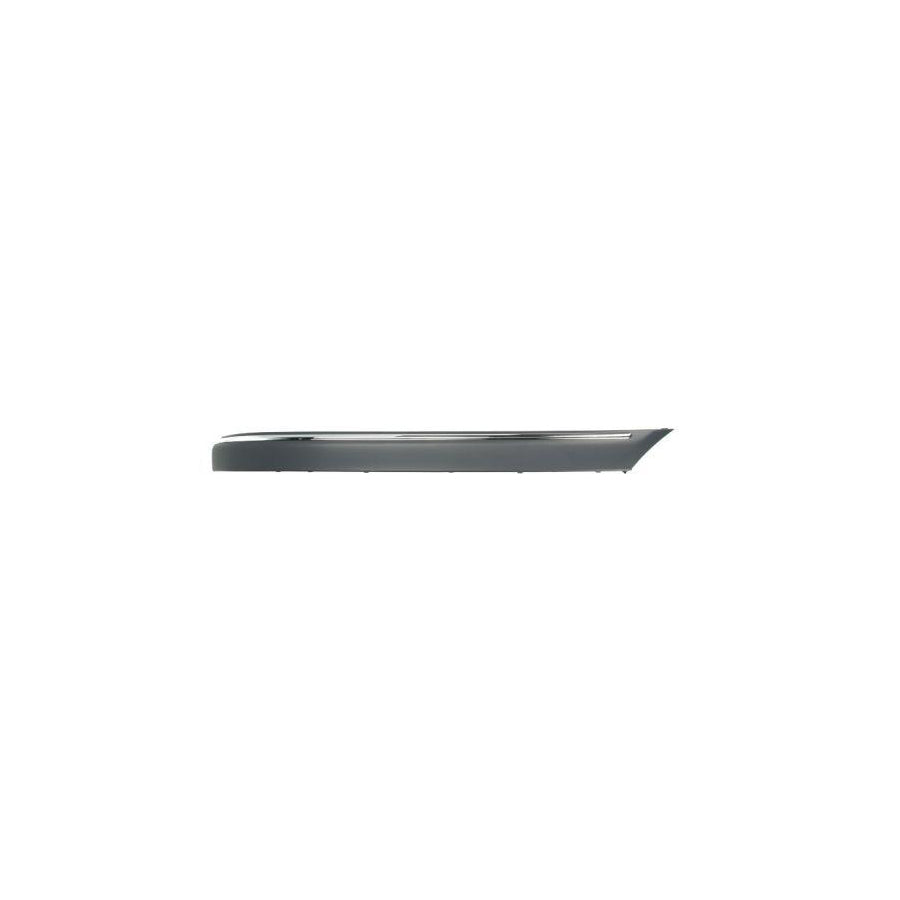 Blic 5703-05-3515972P Bumper Moulding Suitable for Mercedes-Benz C-Class