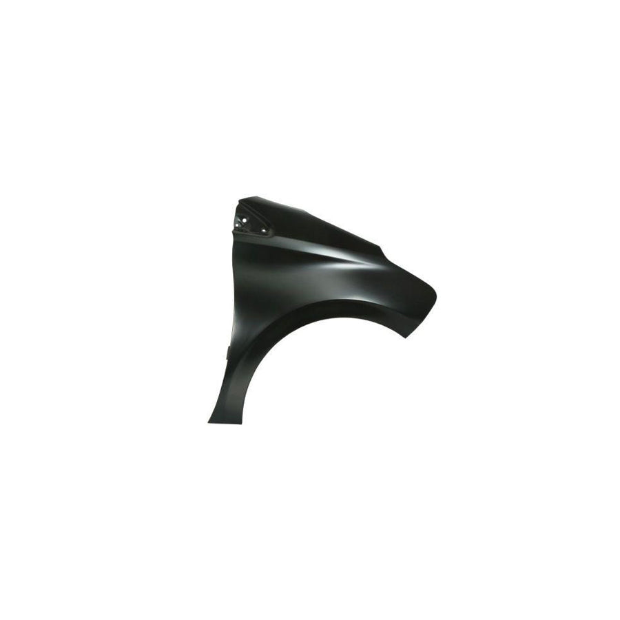 Blic 6504-04-5509312Q Wing Fender for Peugeot 208