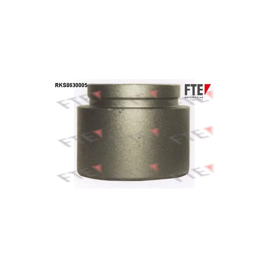FTE 9313243 Piston, Brake Caliper