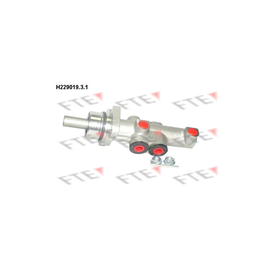 FTE H229019.3.1 Brake Master Cylinder