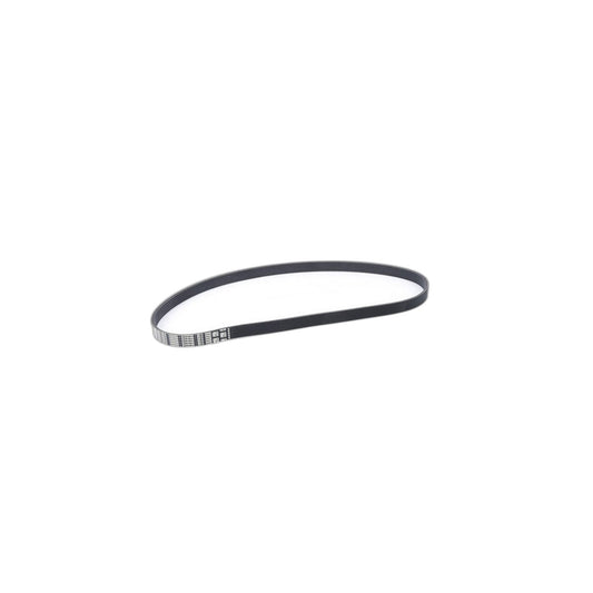Genuine BMW 11288646475 F36 F23 F21 Ribbed V-Belt 6PK X 1163 (Inc. 320i, 430i & 120i)