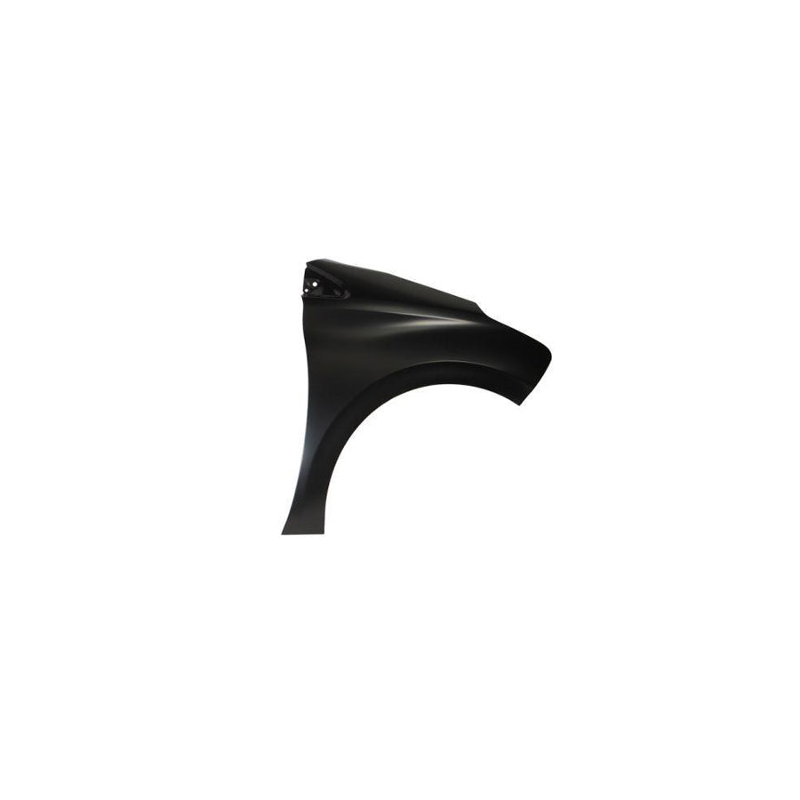 Blic 6504-04-5509312P Wing Fender for Peugeot 208