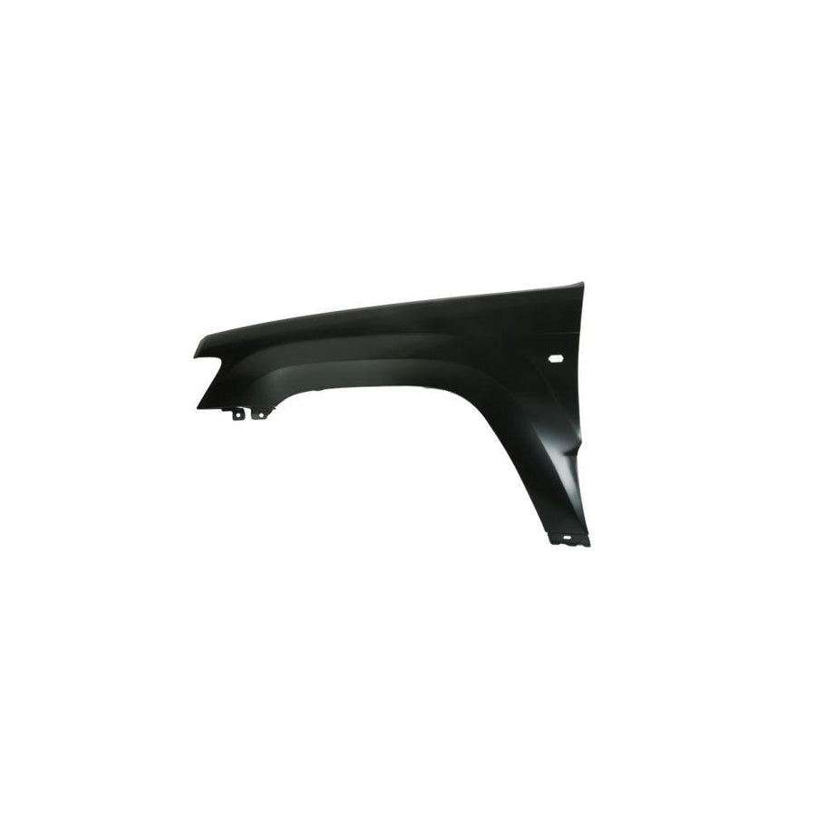 Blic 6508-05-6010241P Headlight Base for Renault Kangoo