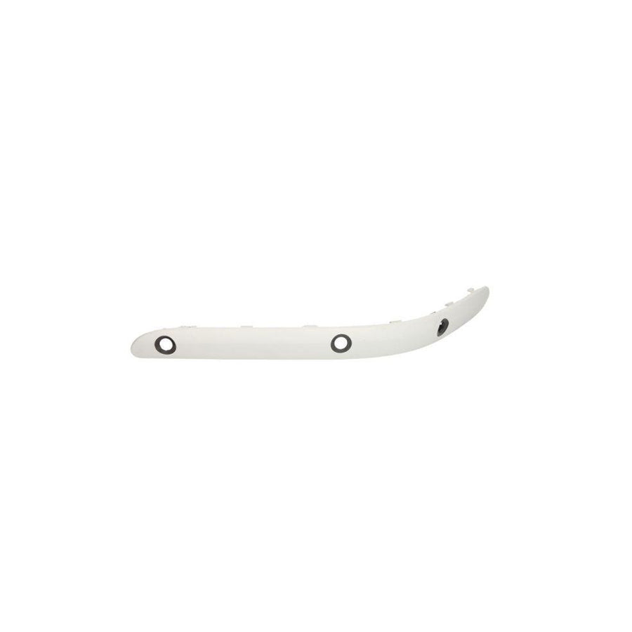 Blic 5703-05-3515933P Bumper Moulding Suitable for Mercedes-Benz C-Class Coupe (Cl203)