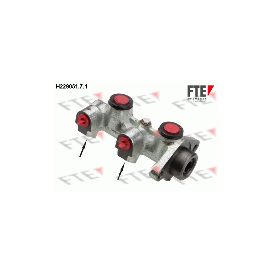 FTE H229051.7.1 Brake Master Cylinder