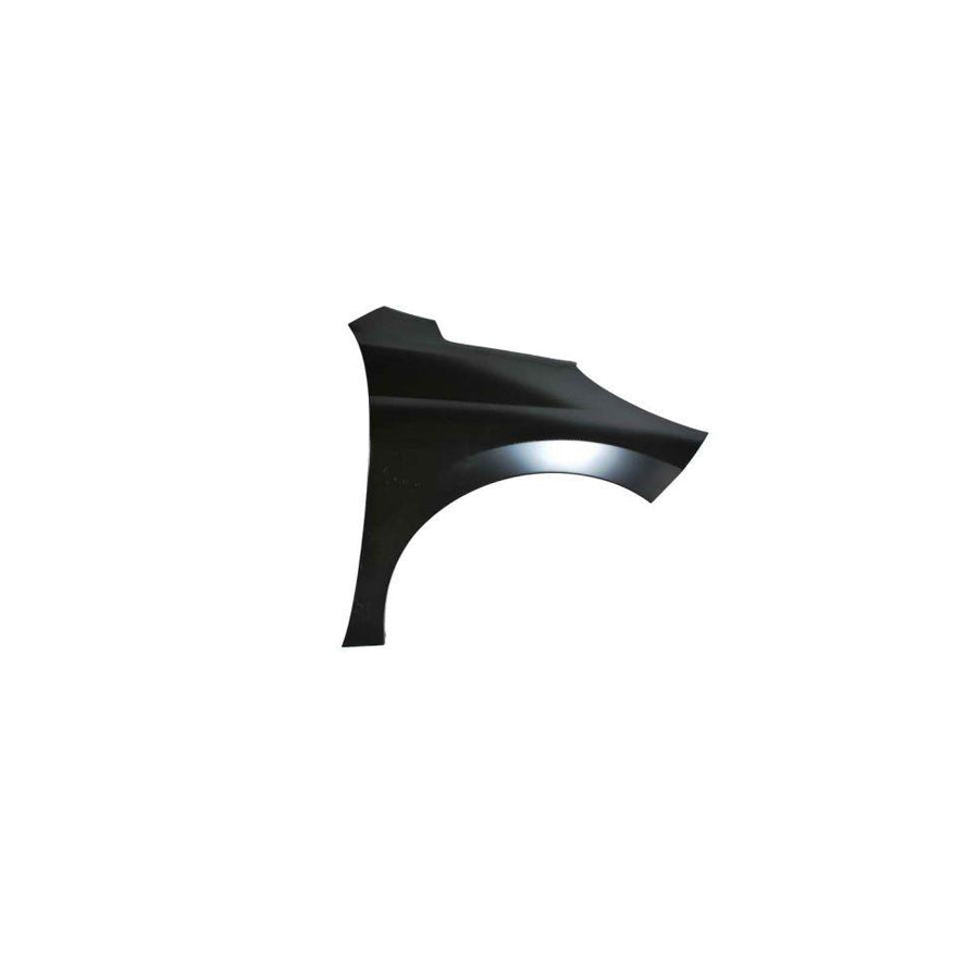 Blic 6504-04-5508312Q Wing Fender for Peugeot 207