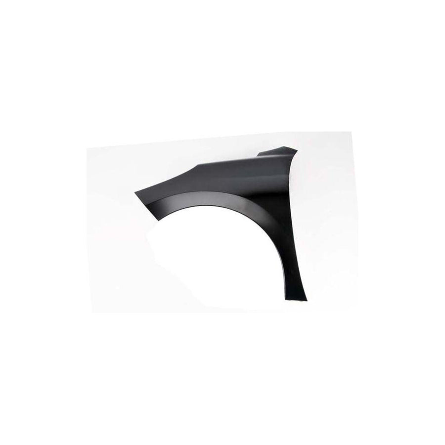 Blic 6504-04-5508311Q Wing Fender for Peugeot 207
