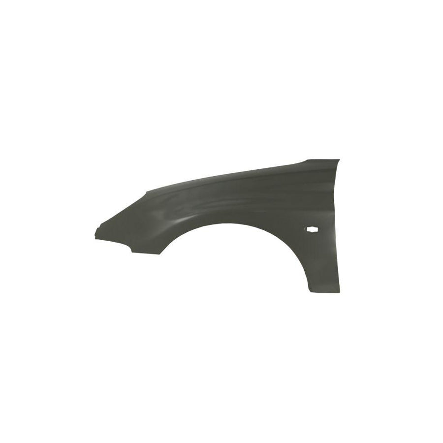 Blic 6504-04-5507315P Wing Fender for Peugeot 206