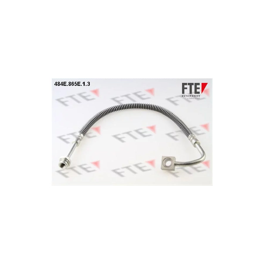FTE 484E.865E.1.3 Brake Hose