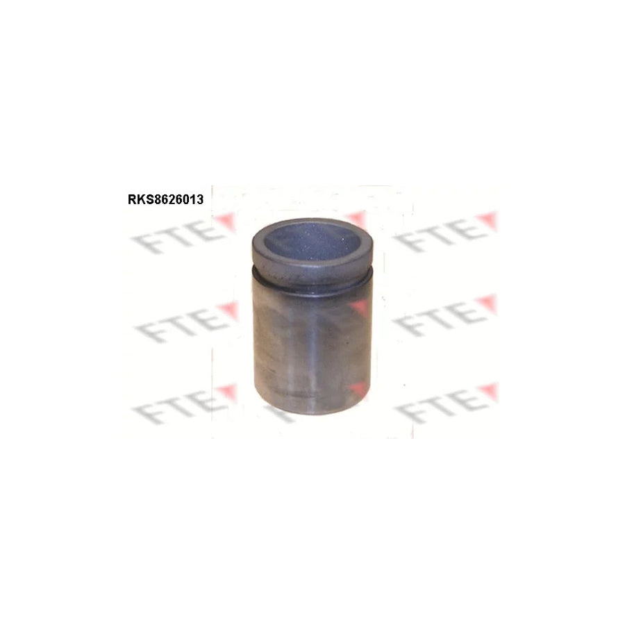 FTE 9313235 Piston, Brake Caliper